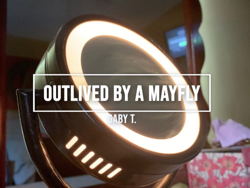 Outlived by a&nbsp;Mayfly